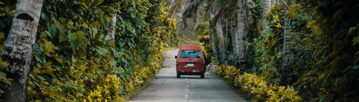 Van on a palm-lined road
